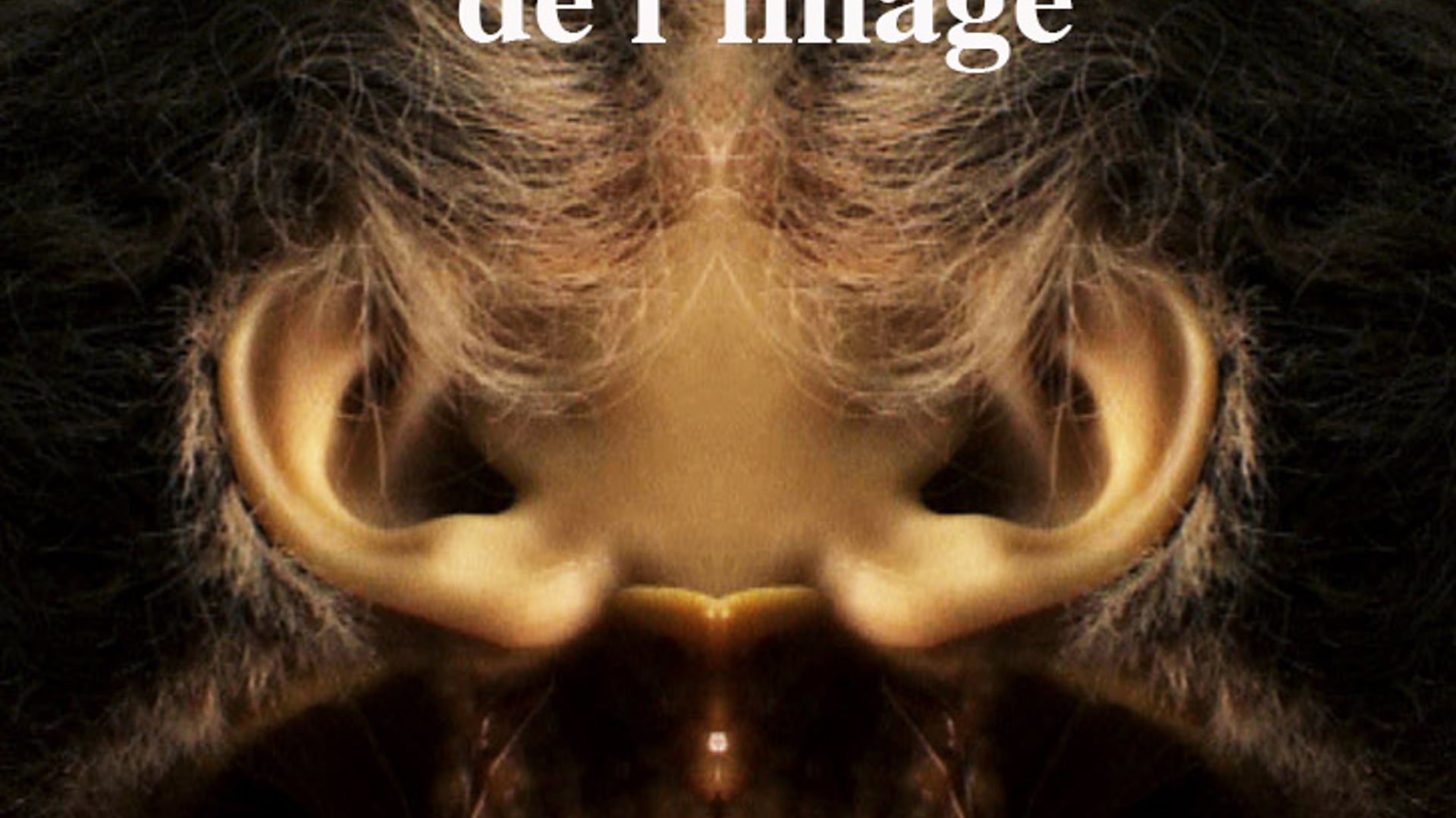 Petite Anatomie de l'image